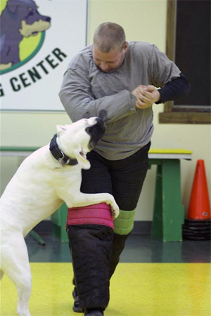 Pelham, NH Dog Personal Protection Training